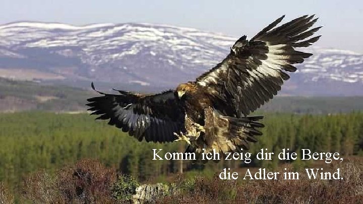 Komm ich zeig dir die Berge, die Adler im Wind. 