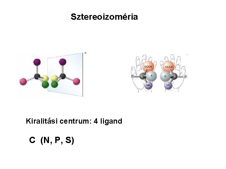 Sztereoizoméria Kiralitási centrum: 4 ligand C (N, P, S) 