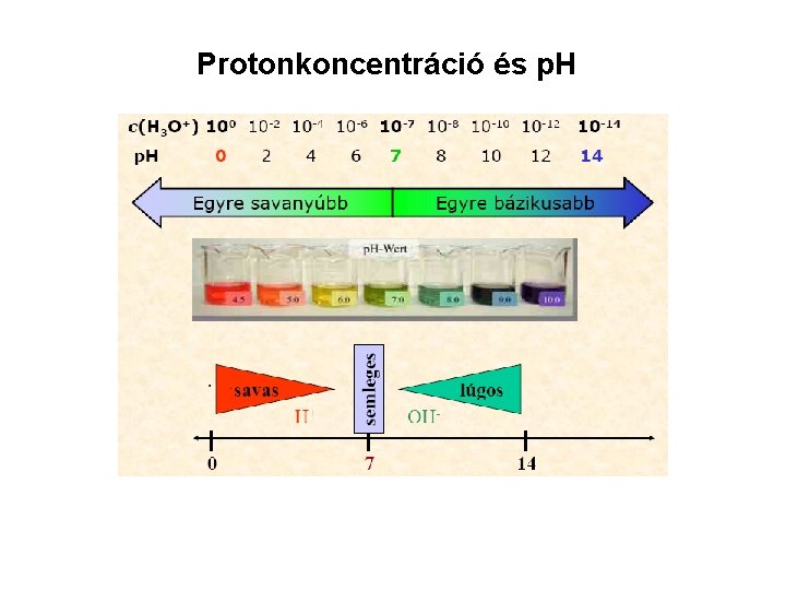 Protonkoncentráció és p. H 