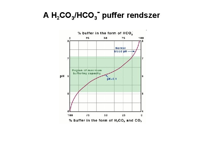 A H 2 CO 3/HCO 3 - puffer rendszer 