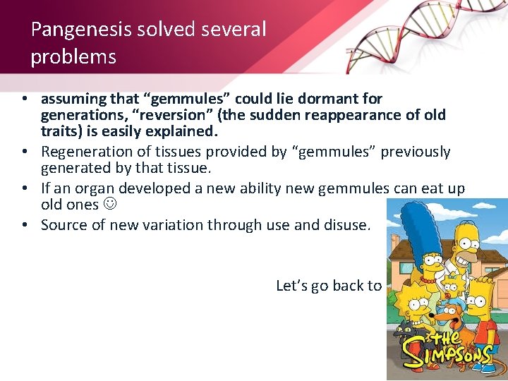 Pangenesis solved several problems • assuming that “gemmules” could lie dormant for generations, “reversion”