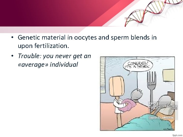  • Genetic material in oocytes and sperm blends in upon fertilization. • Trouble: