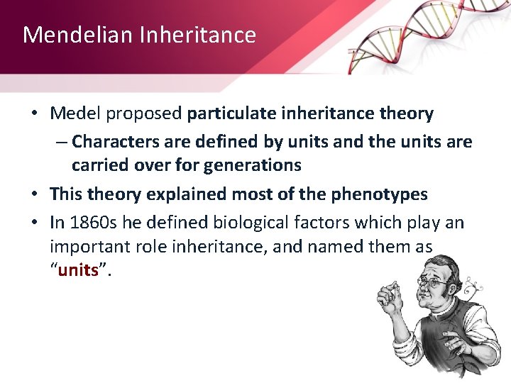 Mendelian Inheritance • Medel proposed particulate inheritance theory – Characters are defined by units