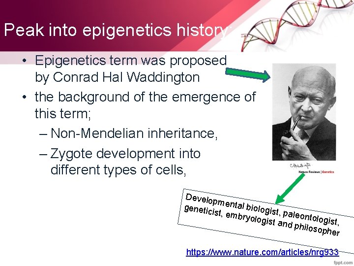 Peak into epigenetics history: • Epigenetics term was proposed by Conrad Hal Waddington •