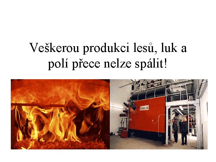 Veškerou produkci lesů, luk a polí přece nelze spálit! 