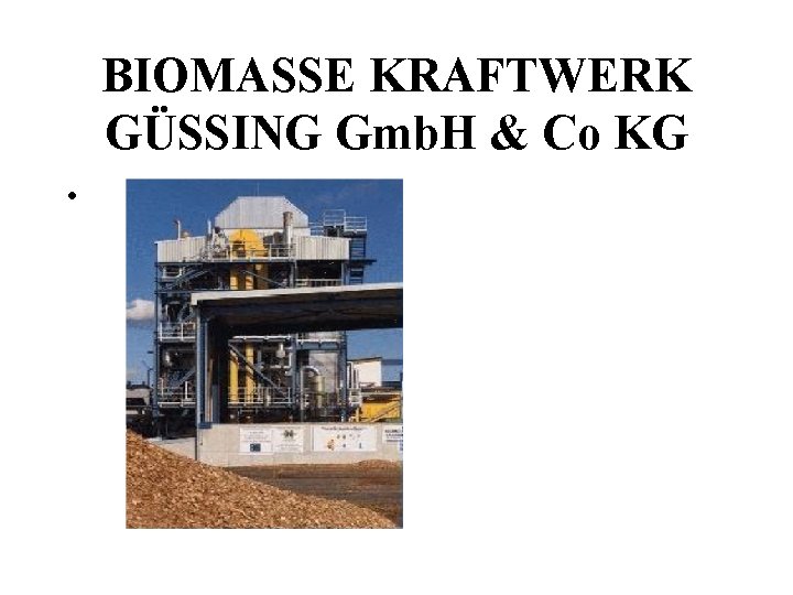 BIOMASSE KRAFTWERK GÜSSING Gmb. H & Co KG • 