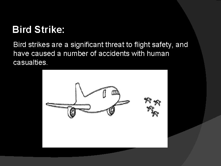 Bird Strike: Bird strikes are a significant threat to flight safety, and have caused