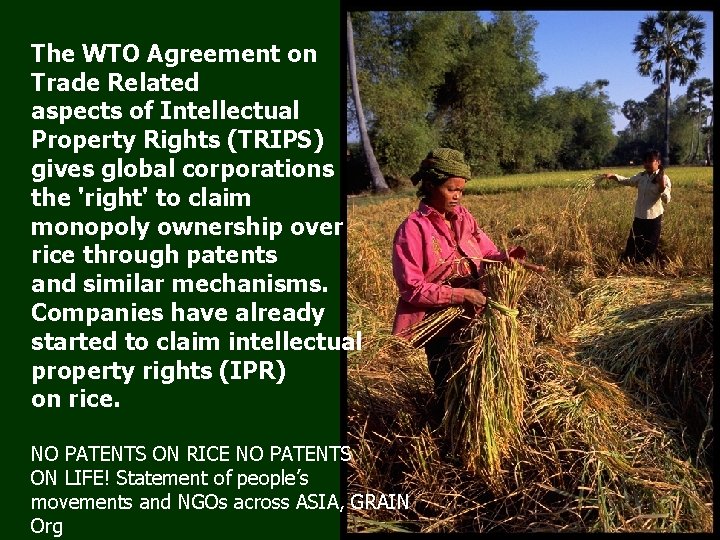 The WTO Agreement on Trade Related aspects of Intellectual Property Rights (TRIPS) gives global