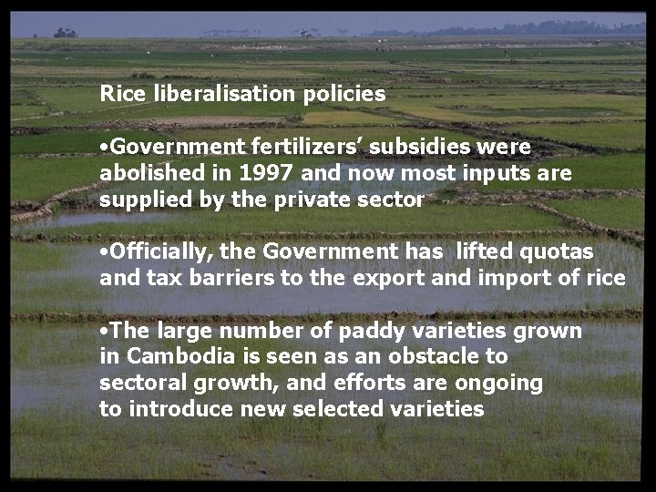 Rice liberalisation policies • Government fertilizers’ subsidies were abolished in 1997 and now most