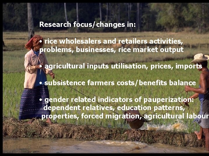 Research focus/changes in: • rice wholesalers and retailers activities, problems, businesses, rice market output