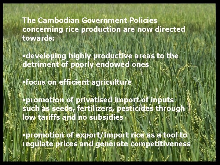 The Cambodian Government Policies concerning rice production are now directed towards: • developing highly