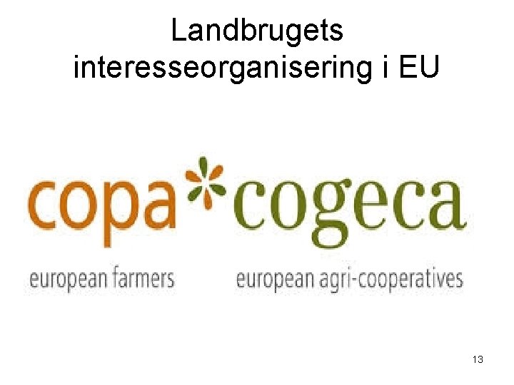Landbrugets interesseorganisering i EU 13 