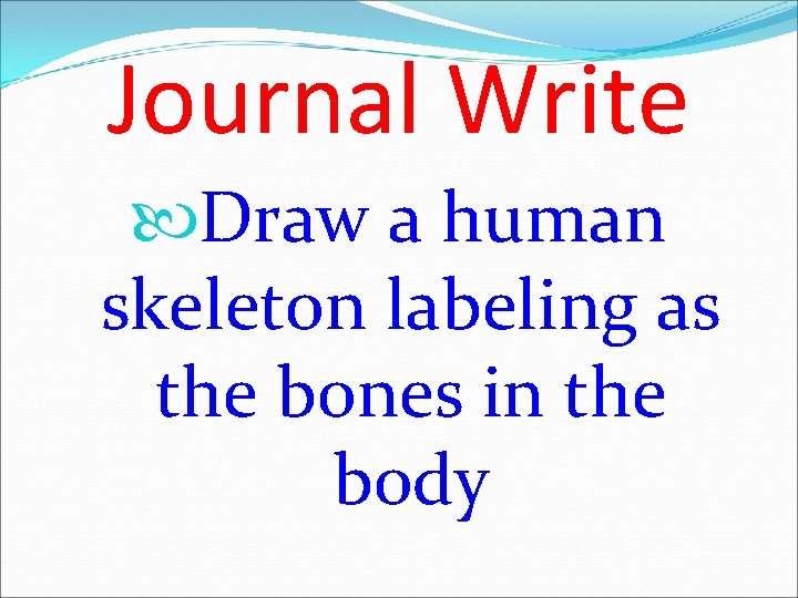 Journal Write Draw a human skeleton labeling as the bones in the body  Journal Write Draw a human skeleton labeling as the bones in the body