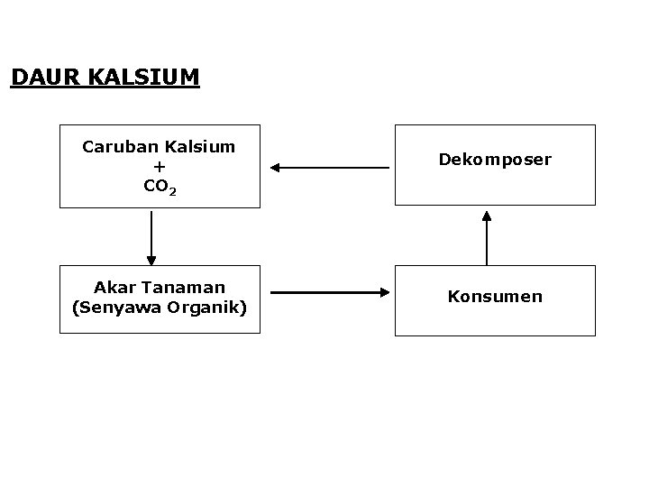 DAUR KALSIUM Caruban Kalsium + CO 2 Dekomposer Akar Tanaman (Senyawa Organik) Konsumen 