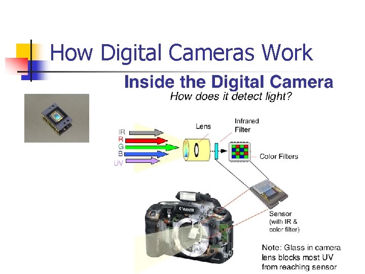 How Digital Cameras Work 