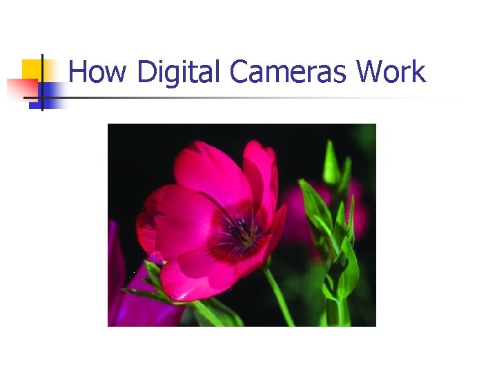 How Digital Cameras Work 