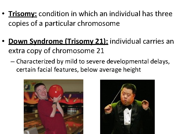  • Trisomy: condition in which an individual has three copies of a particular