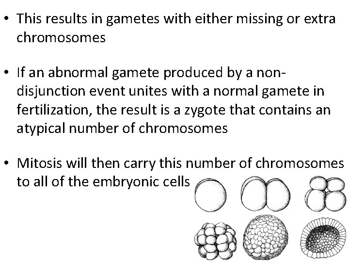  • This results in gametes with either missing or extra chromosomes • If