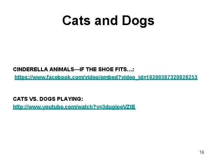 Cats and Dogs CINDERELLA ANIMALS—IF THE SHOE FITS…: https: //www. facebook. com/video/embed? video_id=10200387320826253 CATS