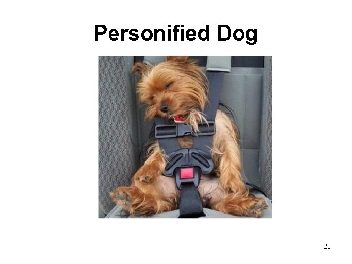 Personified Dog 20 