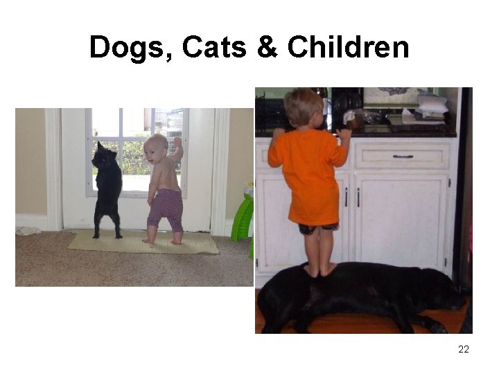 Dogs, Cats & Children 22 