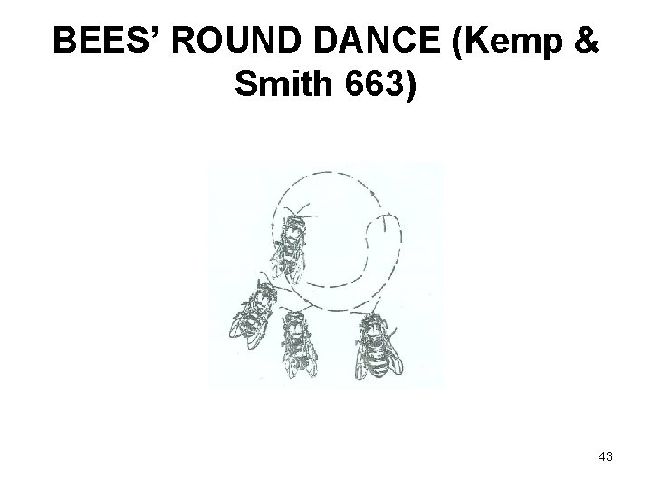 BEES’ ROUND DANCE (Kemp & Smith 663) 43 