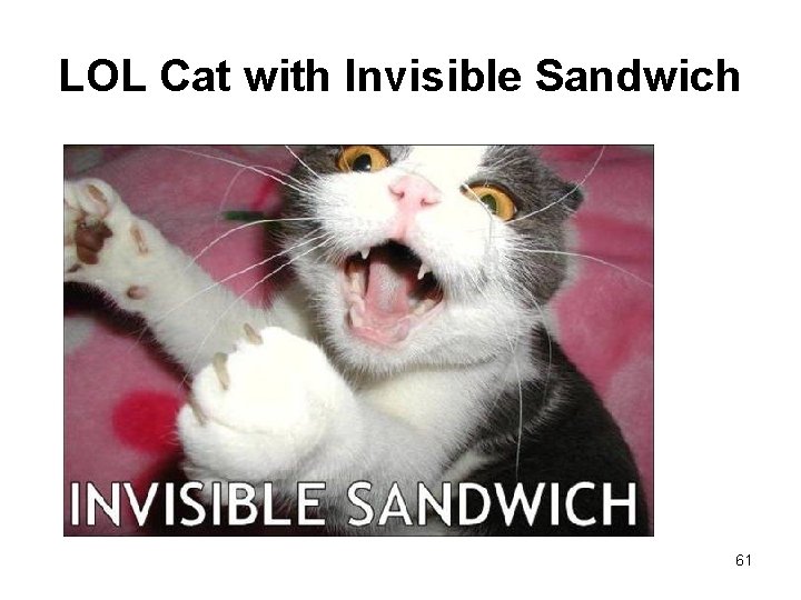 LOL Cat with Invisible Sandwich 61 