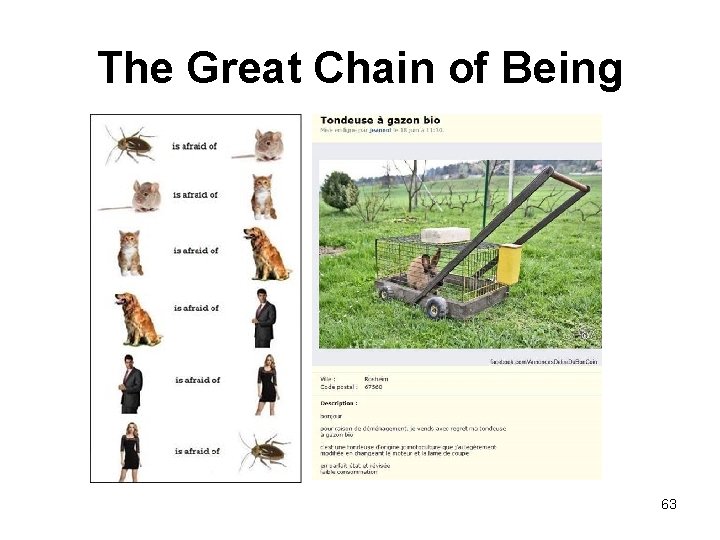 The Great Chain of Being 63 