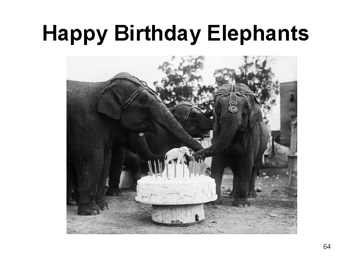 Happy Birthday Elephants 64 
