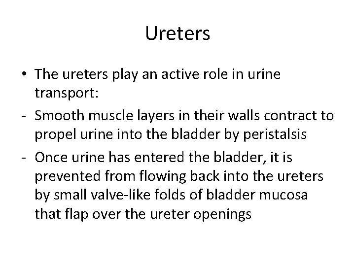 Ureters • The ureters play an active role in urine transport: - Smooth muscle