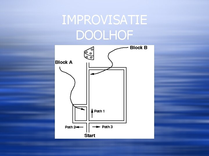 IMPROVISATIE DOOLHOF 