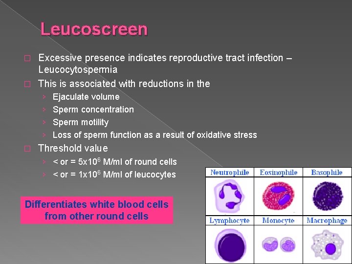 Leucoscreen Excessive presence indicates reproductive tract infection – Leucocytospermia � This is associated with