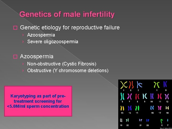 Genetics of male infertility � Genetic etiology for reproductive failure › Azoospermia › Severe