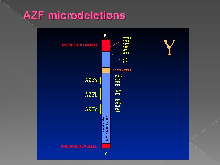 AZF microdeletions 