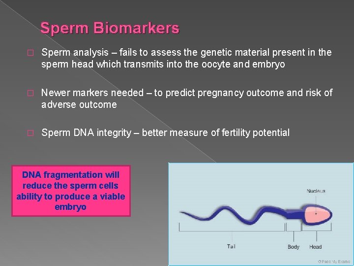 Sperm Biomarkers � Sperm analysis – fails to assess the genetic material present in