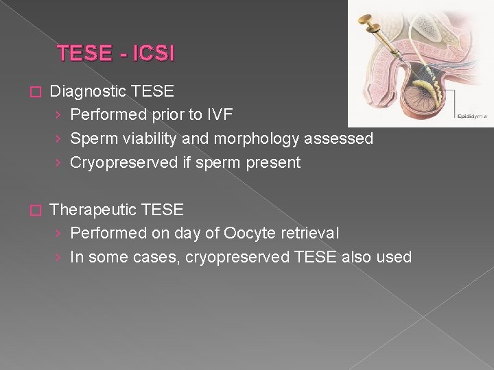 TESE - ICSI � Diagnostic TESE › Performed prior to IVF › Sperm viability