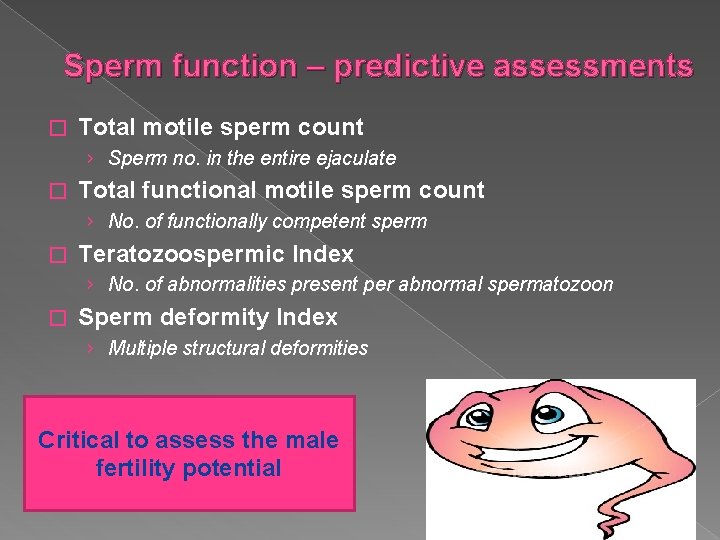 Sperm function – predictive assessments � Total motile sperm count › Sperm no. in