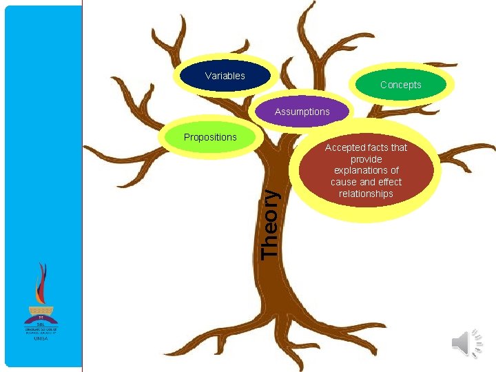 Variables Concepts Assumptions Theory Propositions Accepted facts that provide explanations of cause and effect