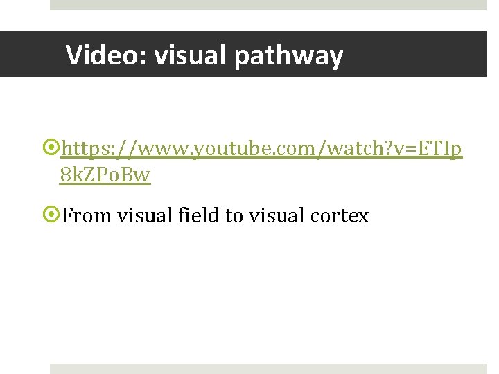 Video: visual pathway https: //www. youtube. com/watch? v=ETIp 8 k. ZPo. Bw From visual