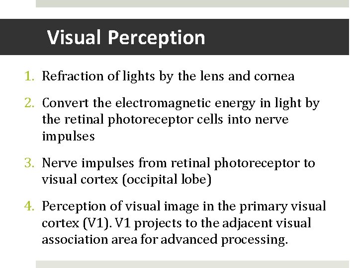 Visual Perception 1. Refraction of lights by the lens and cornea 2. Convert the
