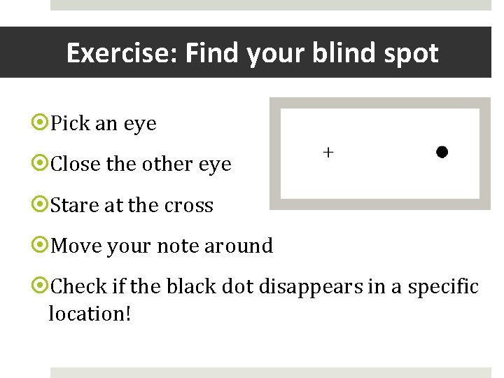 Exercise: Find your blind spot Pick an eye Close the other eye Stare at