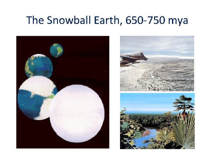 The Snowball Earth, 650 -750 mya 