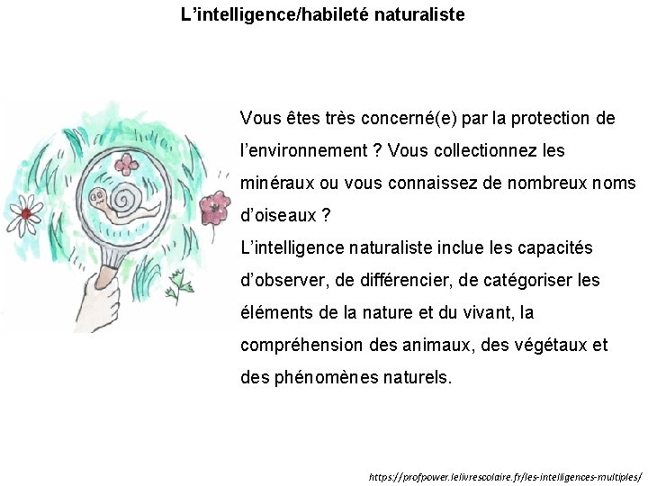 L’intelligence/habileté naturaliste Vous êtes très concerné(e) par la protection de l’environnement ? Vous collectionnez