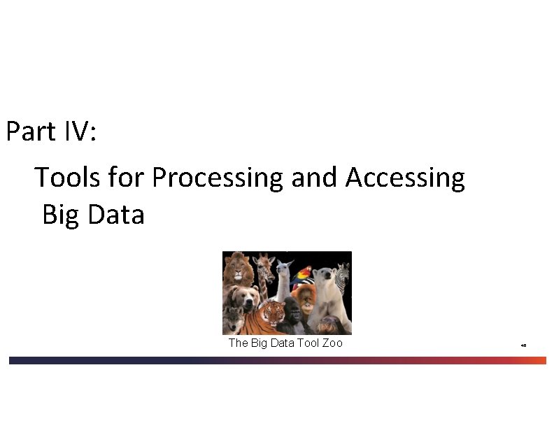 Part IV: Tools for Processing and Accessing Big Data The Big Data Tool Zoo Part IV: Tools for Processing and Accessing Big Data The Big Data Tool Zoo