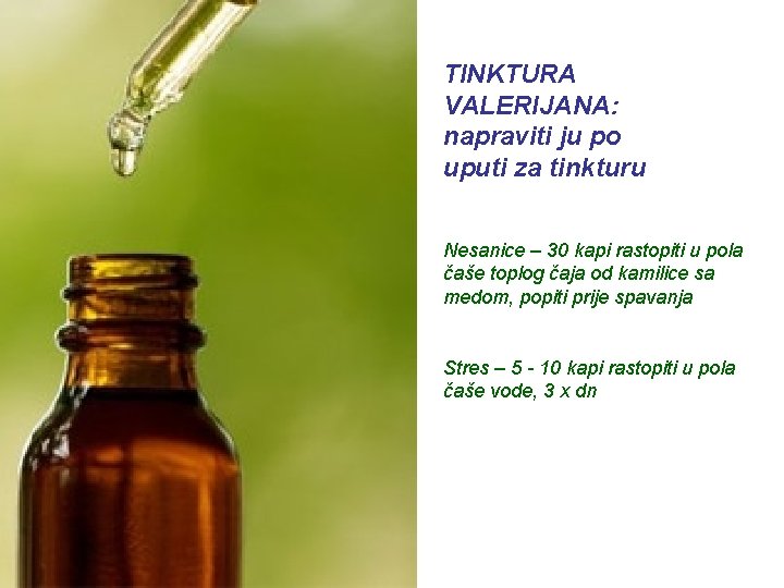 TINKTURA VALERIJANA: napraviti ju po uputi za tinkturu Nesanice – 30 kapi rastopiti u