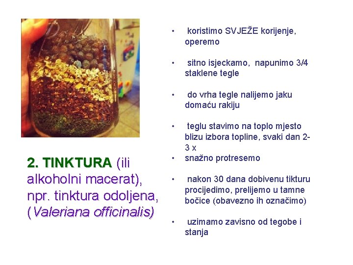 2. TINKTURA (ili alkoholni macerat), npr. tinktura odoljena, (Valeriana officinalis) • koristimo SVJEŽE korijenje,