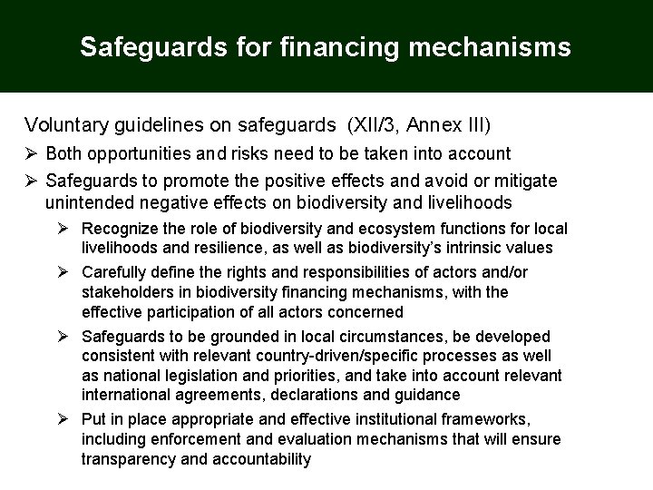 Safeguards for financing mechanisms Voluntary guidelines on safeguards (XII/3, Annex III) Ø Both opportunities