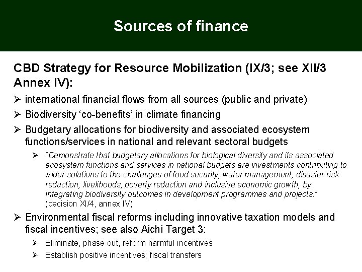 Sources of finance CBD Strategy for Resource Mobilization (IX/3; see XII/3 Annex IV): Ø