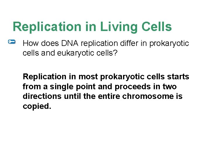 Replication in Living Cells How does DNA replication differ in prokaryotic cells and eukaryotic