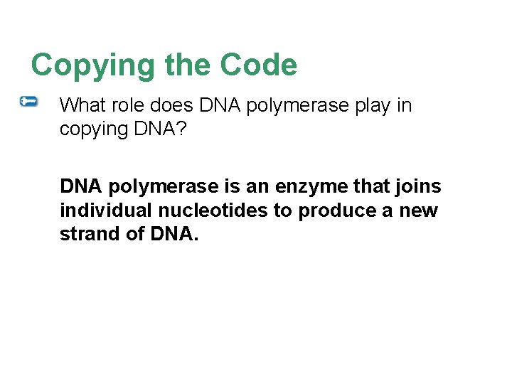 Copying the Code What role does DNA polymerase play in copying DNA? DNA polymerase